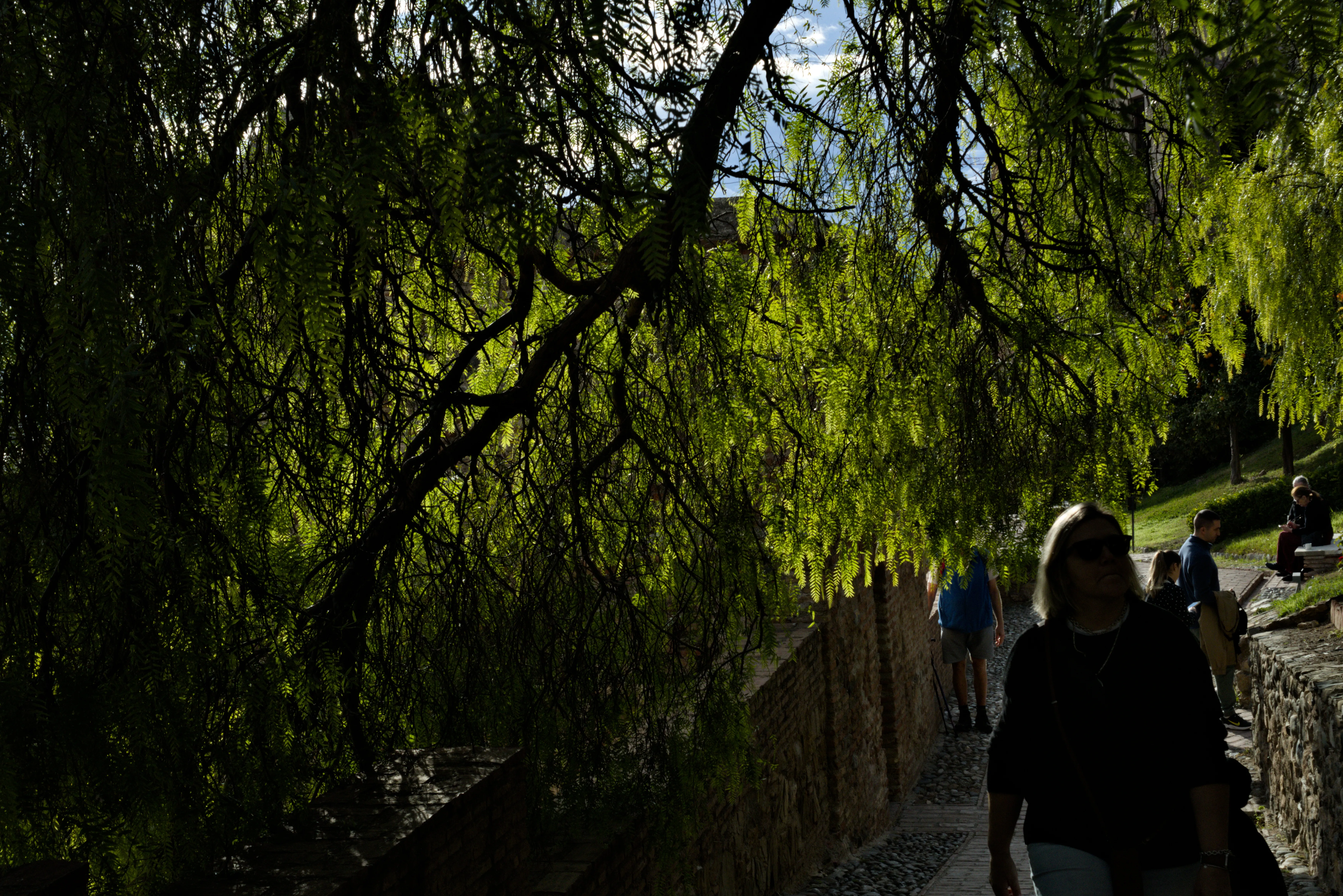 Meyer-Optik Görlitz Primagon 35mm f4.5 (M42) - _I4A7313.webp